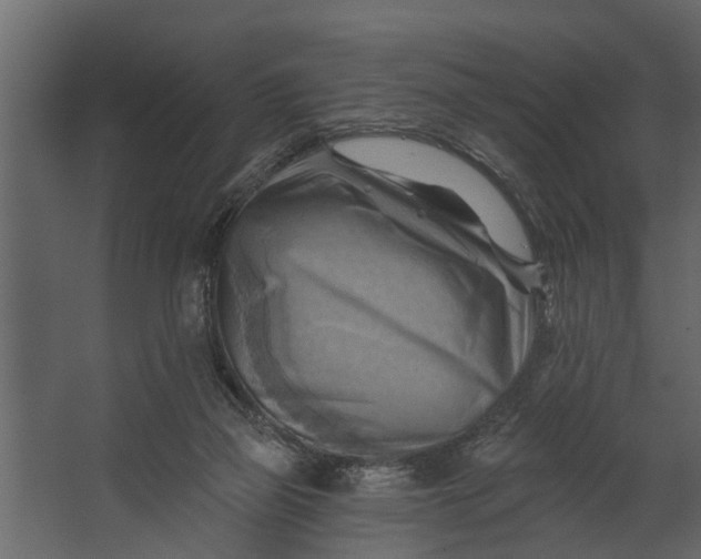 X0000067510165200604211800