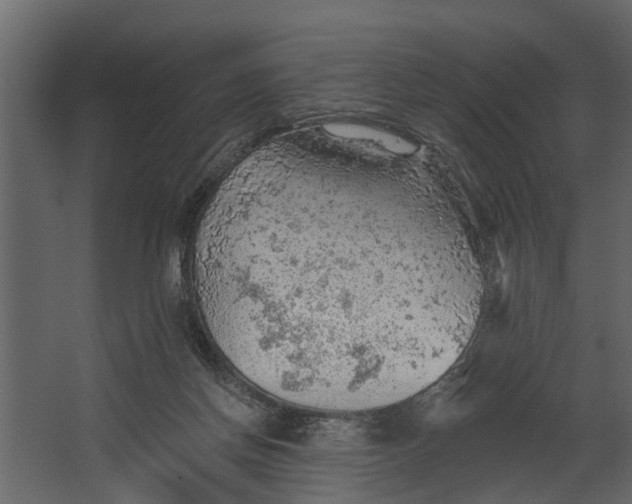 X0000067510166200604211800