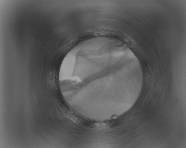 X0000067510169200604211800