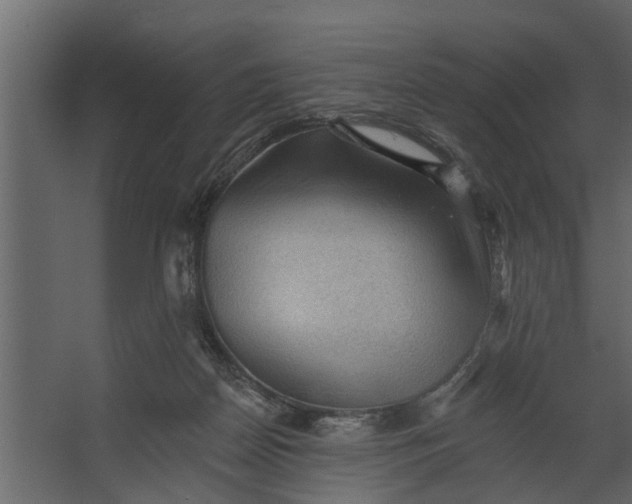 X0000067510170200604211800