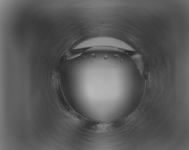 X0000067510172200604211800