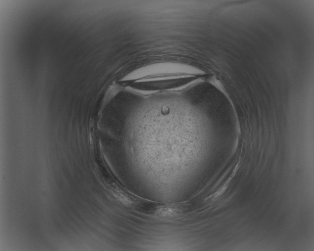 X0000067510174200604211800