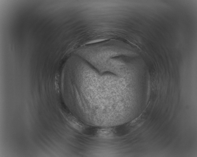 X0000067510175200604211800