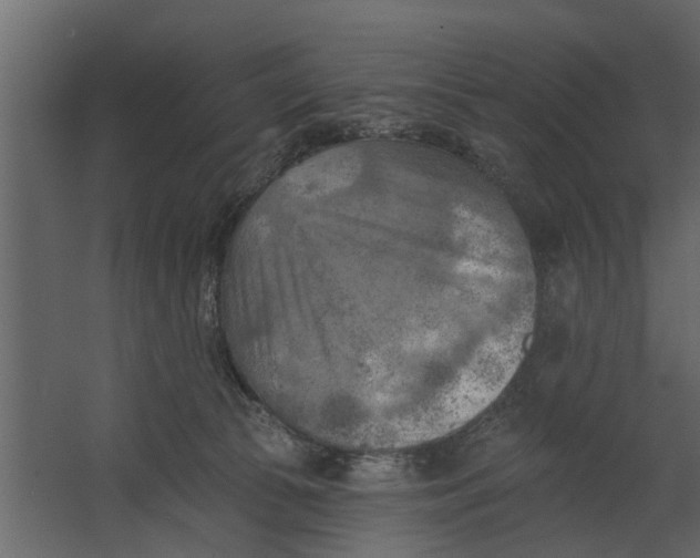 X0000067510177200604211800