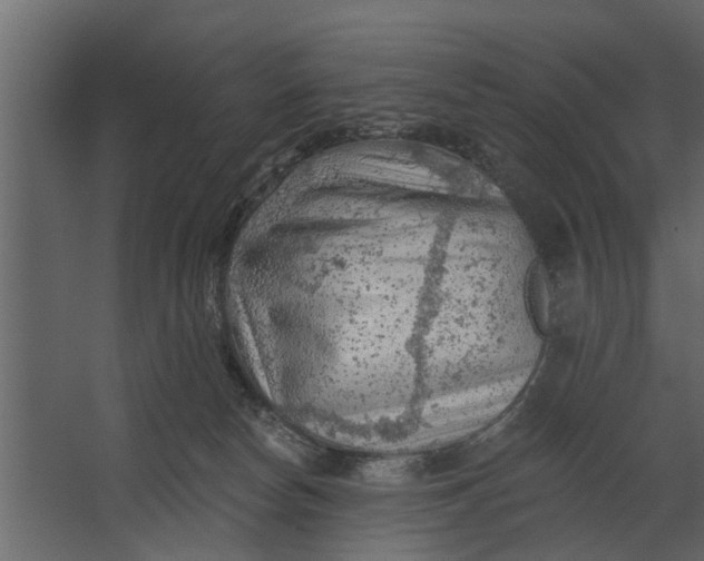 X0000067510178200604211800