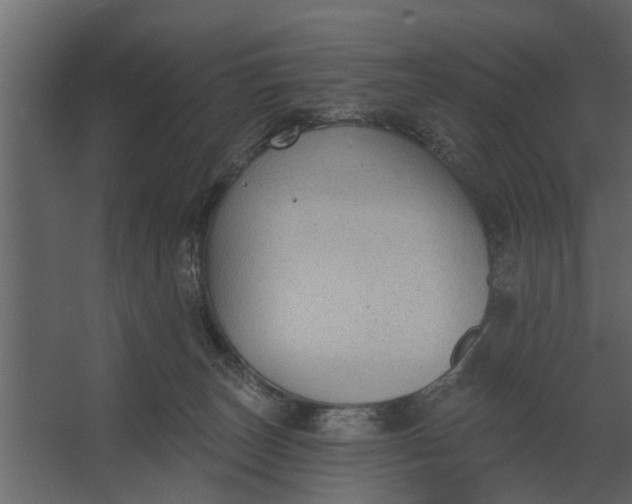 X0000067510179200604211800