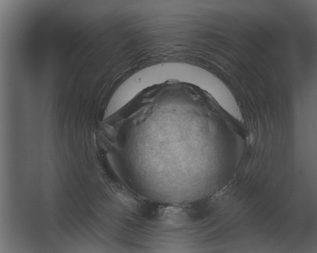 X0000067510180200604211800