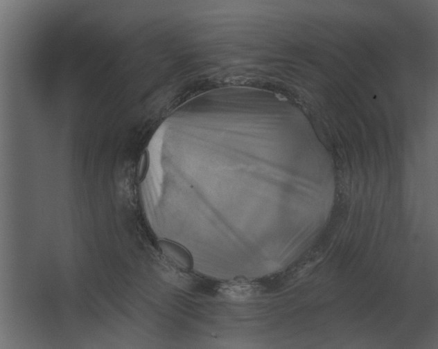 X0000067510181200604211800