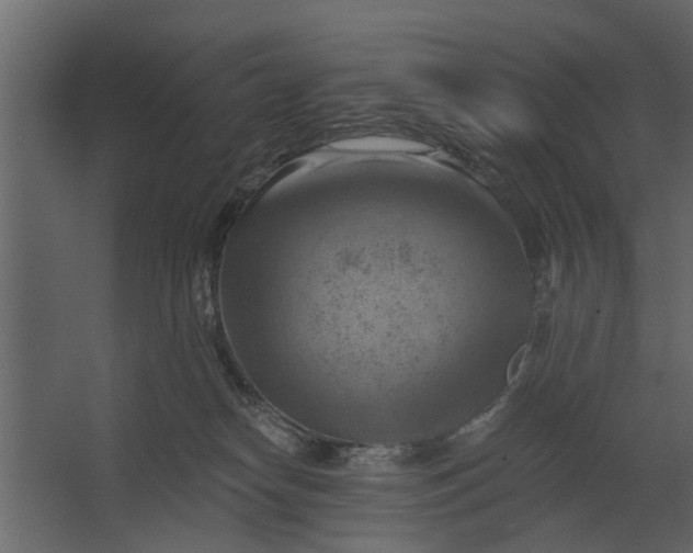 X0000067510182200604211800