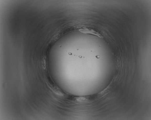 X0000067510183200604211800