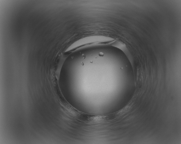 X0000067510184200604211800