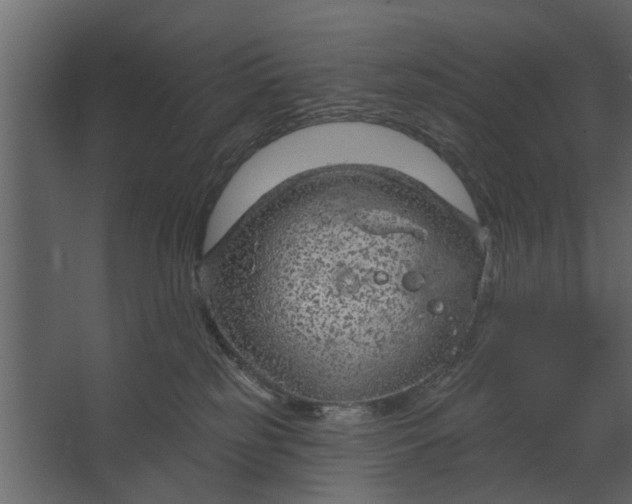 X0000067510185200604211800