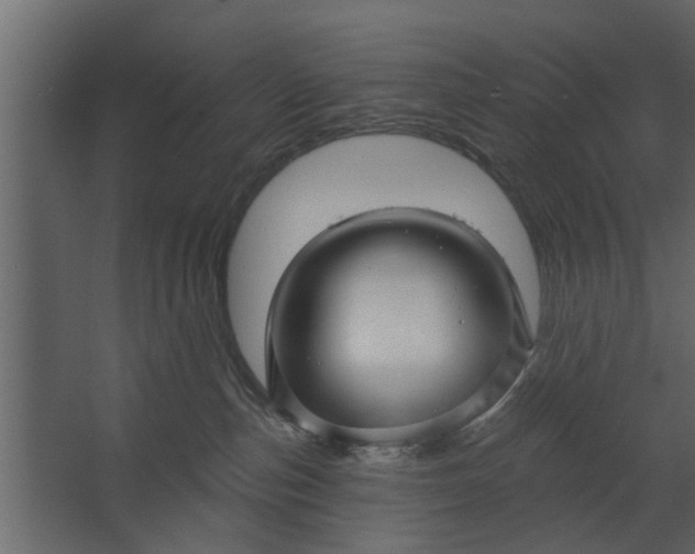 X0000067510187200604211800