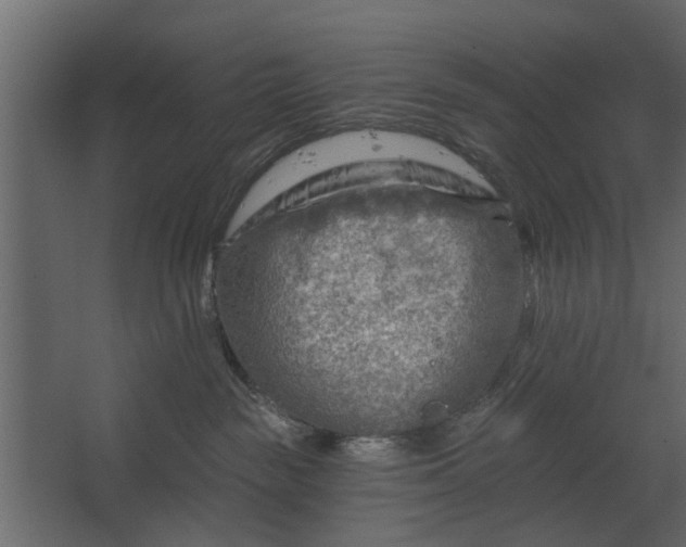 X0000067510189200604211800