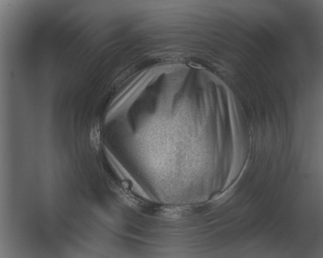 X0000067510190200604211800