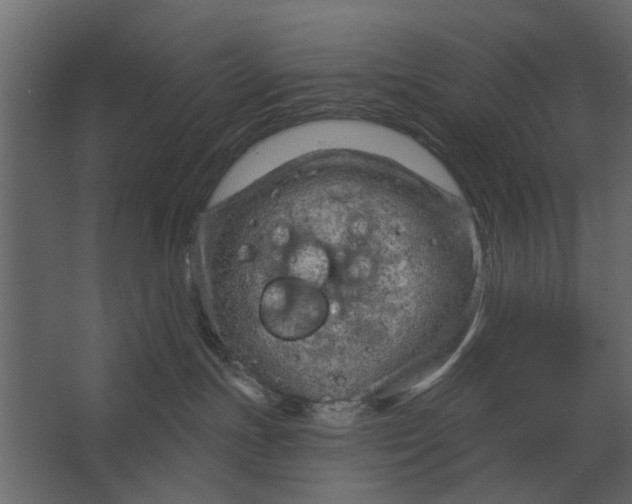 X0000067510191200604211800