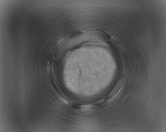 X0000067510192200604211800