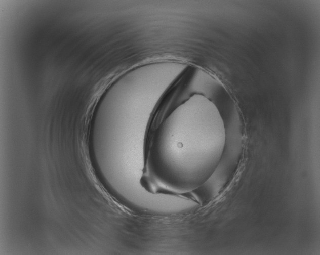 X0000067510193200604211800