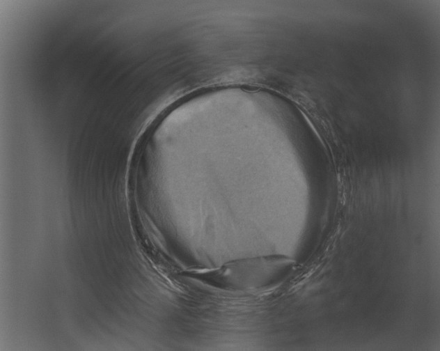 X0000067510196200604211800