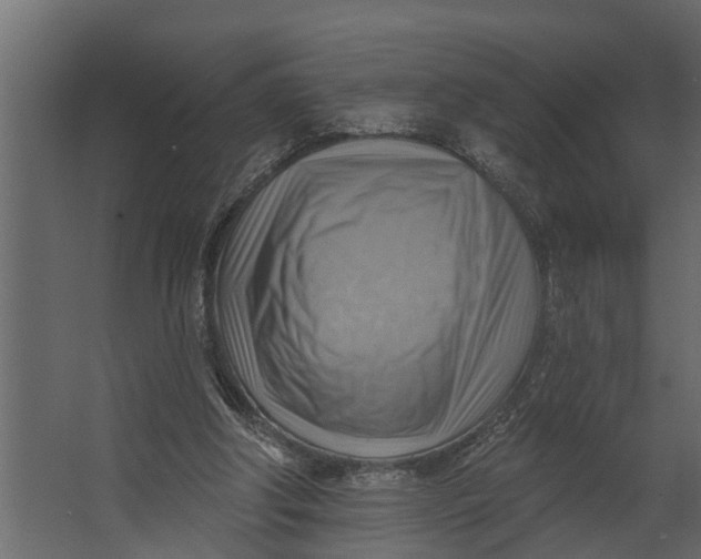 X0000067510202200604211759