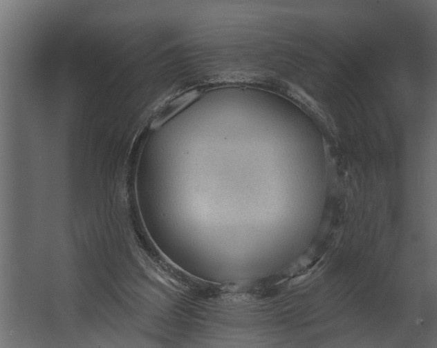 X0000067510203200604211759