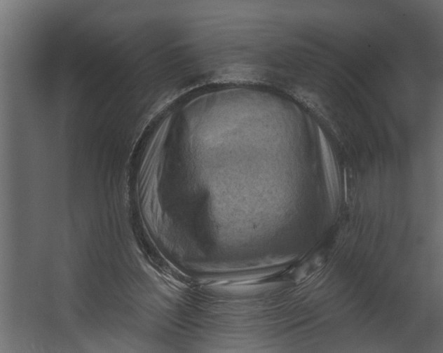 X0000067510204200604211759