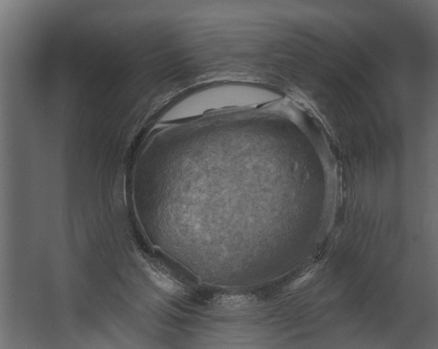 X0000067510205200604211759