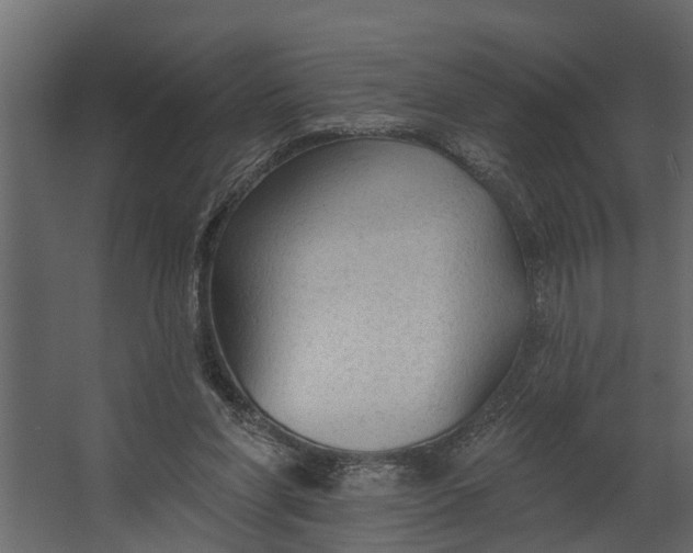 X0000067510206200604211759