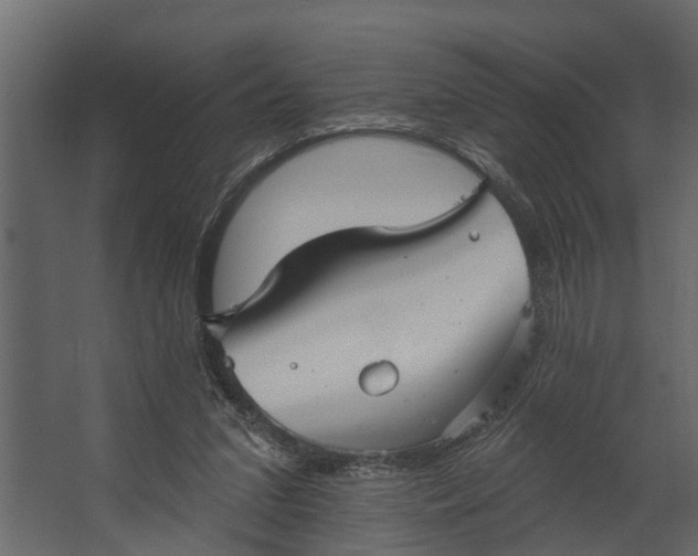 X0000067510207200604211759