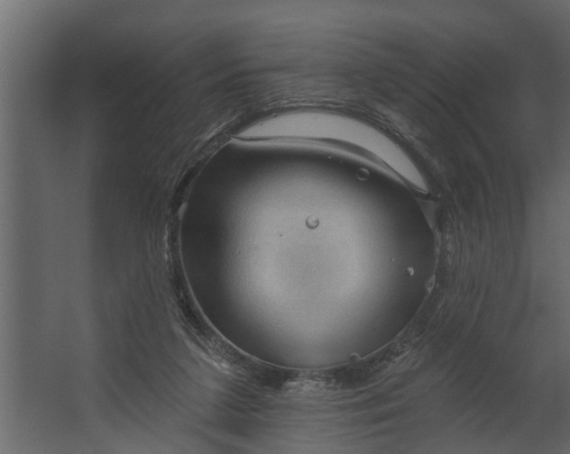 X0000067510211200604211759