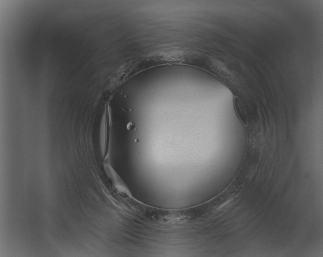 X0000067510213200604211759