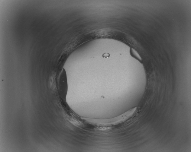 X0000067510217200604211759