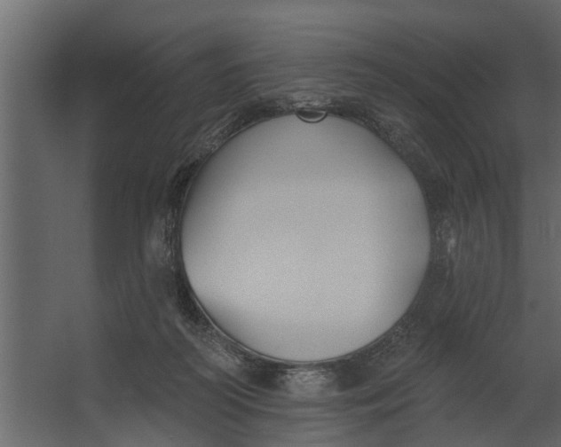 X0000067510218200604211759