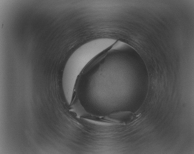 X0000067510219200604211759