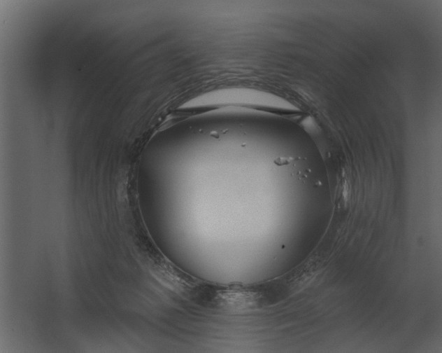 X0000067510221200604211759