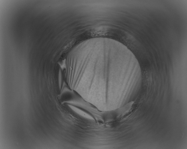 X0000067510224200604211759