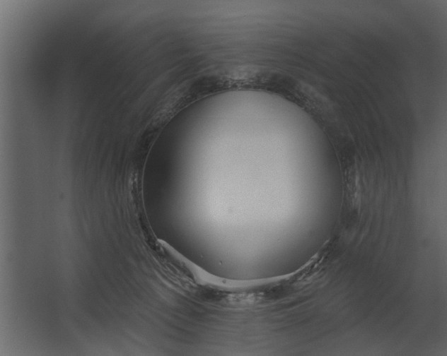 X0000067510225200604211759