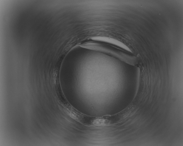 X0000067510227200604211759