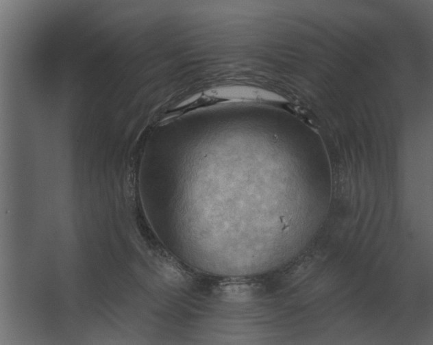 X0000067510228200604211759