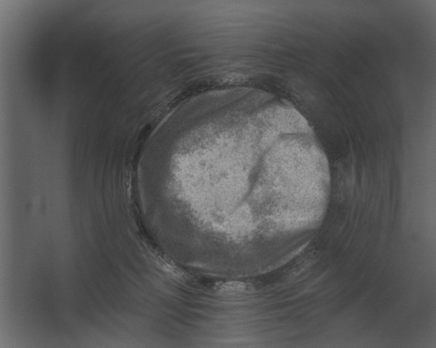 X0000067510230200604211759