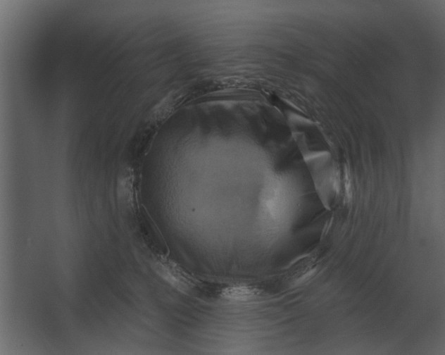 X0000067510231200604211759