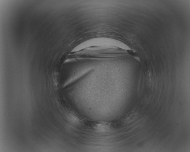 X0000067510232200604211759