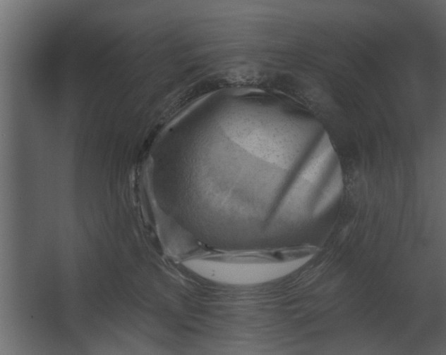 X0000067510233200604211759