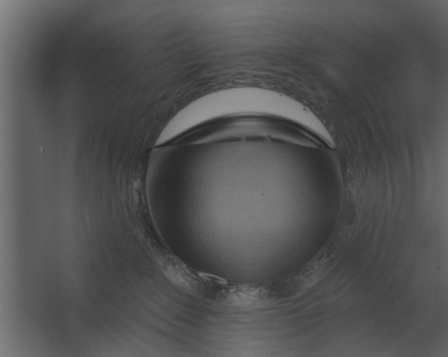 X0000067510235200604211759