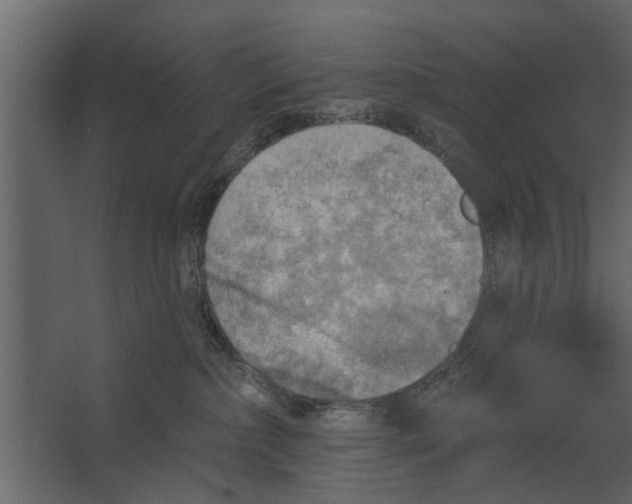 X0000067510236200604211759