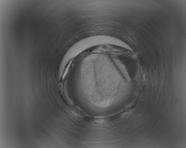 X0000067510237200604211759