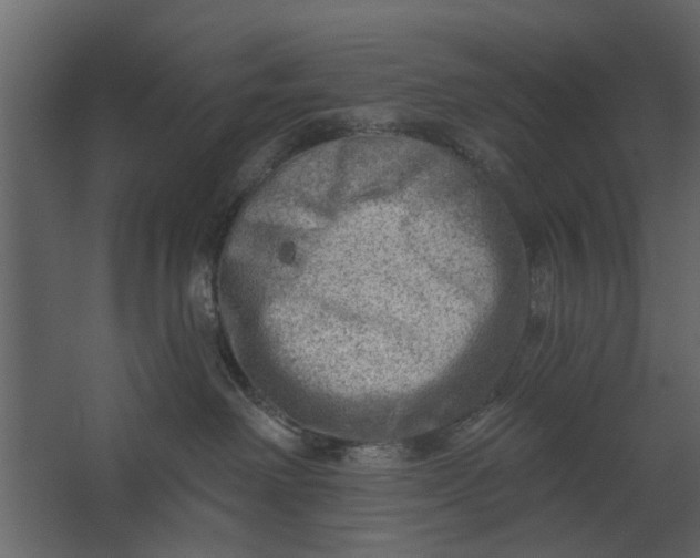 X0000067510238200604211759