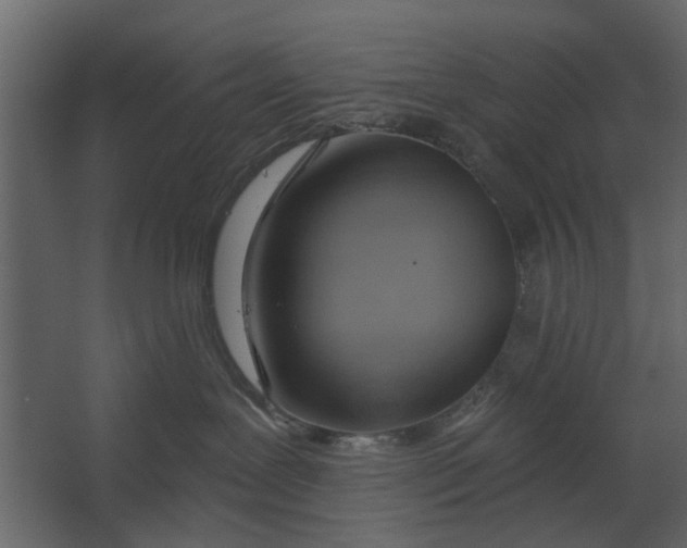 X0000067510239200604211759