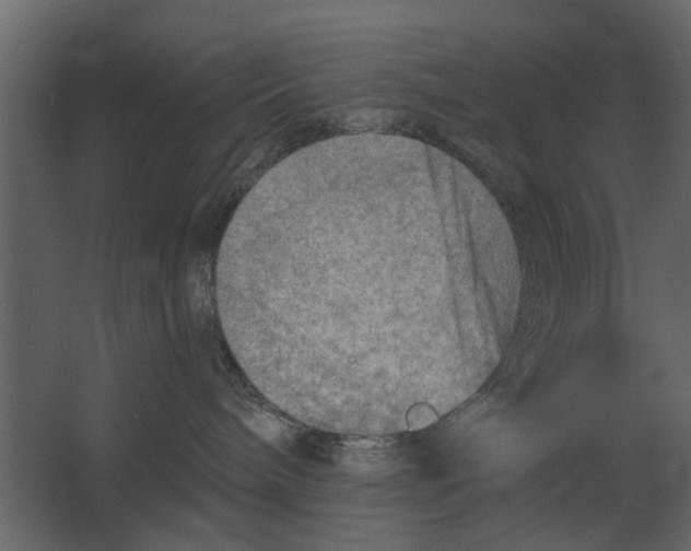 X0000067510240200604211759