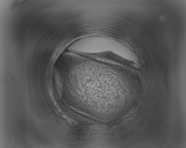 X0000067510241200604211758